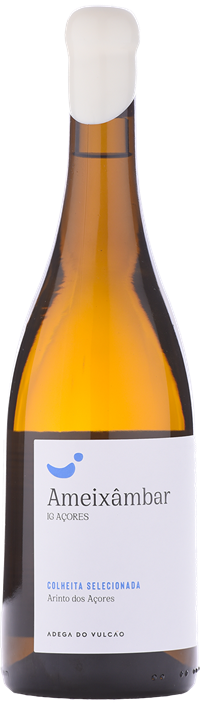 Garrafa Ameixâmbar 2019